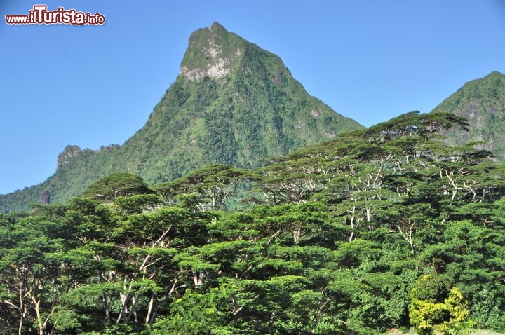 Immagine Picco vulcanico di Moorea in Polinesia. I vulcani sono estinti da tempo immemorabile