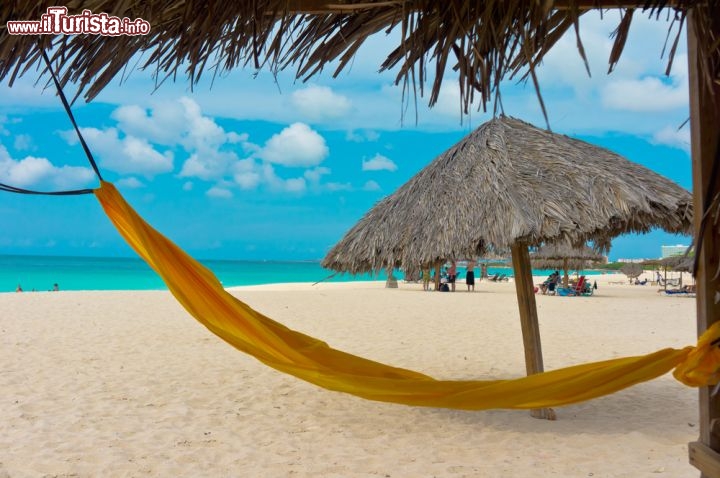 Immagine Piccole Antille: una bella spiaggia di Aruba con amaca. Siamo nei caraibi meridionali - © mffoto / Shutterstock.com