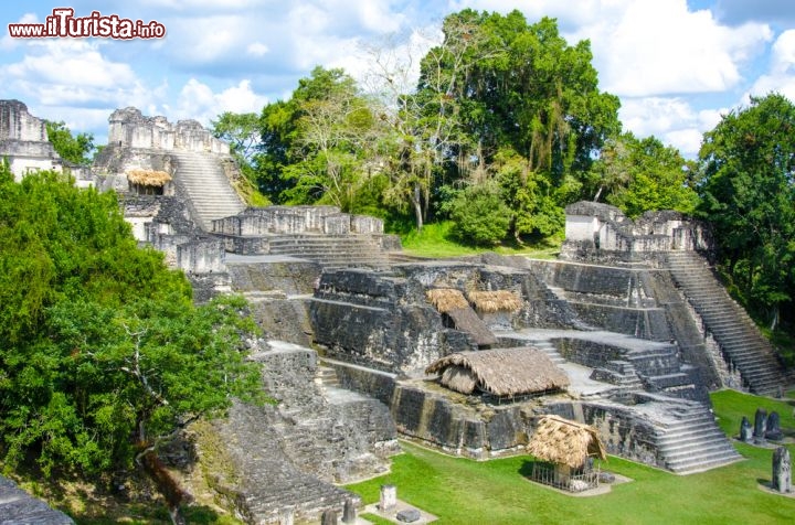 Immagine Piramide Maya all'interno della foresta di Tikal in Guatemala - © sunsinger / Shutterstock.com