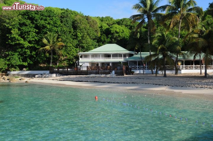 Immagine La magnifica Plage Sainte Anne: si trova sulla Grande Terre di Guadalupa, lungo la sua costa meridionale dell'isola dei Caraibi, che fa parte del territorio della Francia - © Pack-Shot / Shutterstock.com