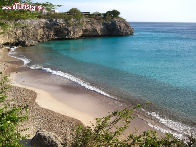 Immagine Playa Jeremi si trova ai Caraibi, sulla costa dell'isola di Curacao (Antille olandesi) - © BioLife Pics / Shutterstock.com