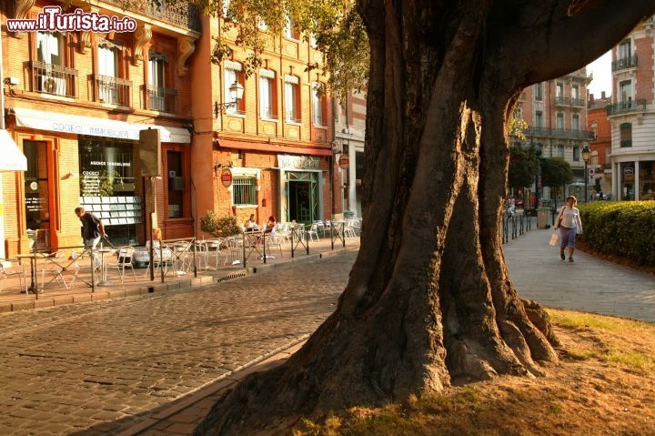 Immagine Quartiere St Etienne, Tolosa - © Ville de Toulouse