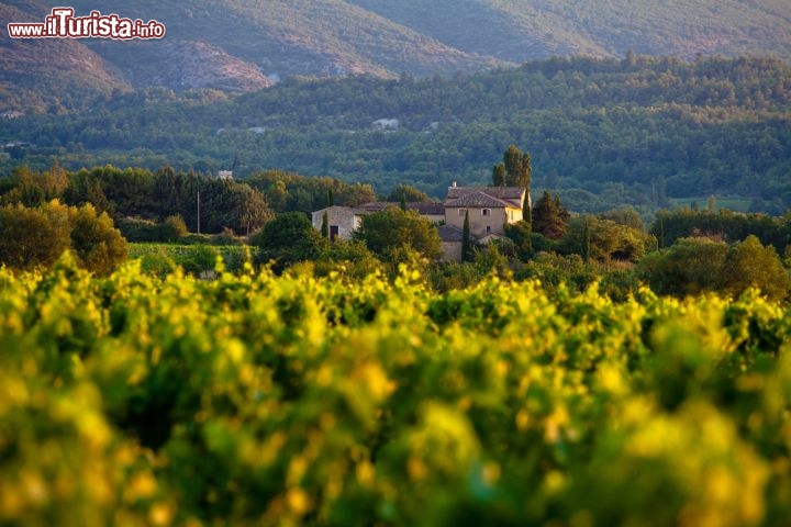 Immagine la regione intorno as Apt in Francia (Provenza) si trova nel dipartimento della Vaucluse, e offre parecchi spunti paesaggisitci - © csp / Shutterstock.com