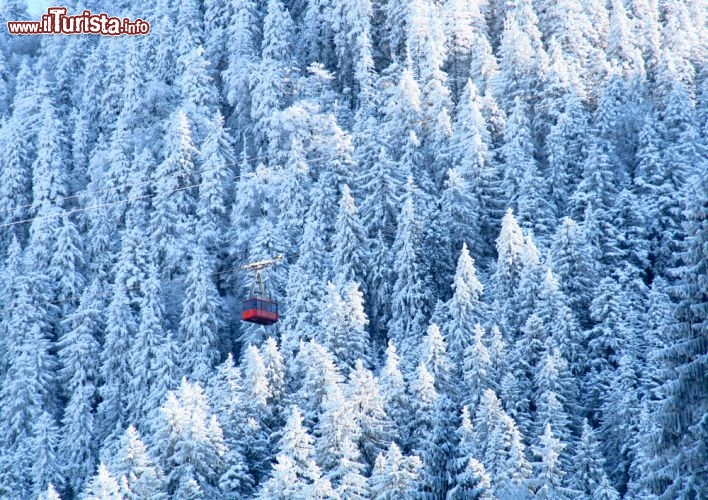 Immagine Panorama sui monti Carpazi, Brasov - Ricoperti dalla neve che nei mesi invernali cade copiosa in Romania, i Carpazi offrono agli appassionati di sci e attività sportive un'ampia scelta di piste e resort in cui divertirsi. In questa suggestiva immagine boschi e vegetazione completamente imbiancati fanno da cornice alla funivia che li attraversa e che accompagna fin sulla cima da dove si può godere di un panorama davvero incantevole © ArtOfLightPro / Shutterstock.com