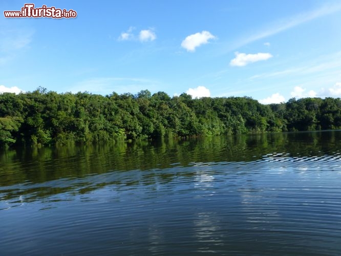 Immagine Il rio Jumas, afflunte delle Rio delle Amazzoni in Brasile - © guentermanaus / Shutterstock.com