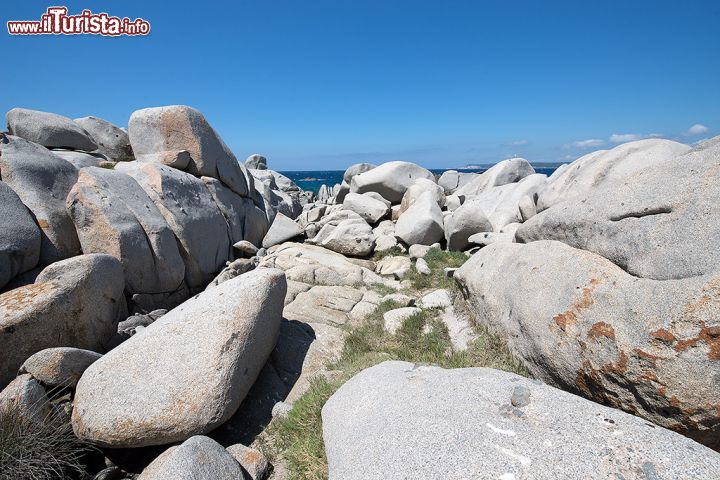 Immagine Come per gli scogli della vicina Gallura, le rocce dell'Isola Lavezzi in Corsica sono costituite da splendidi e compatti graniti.