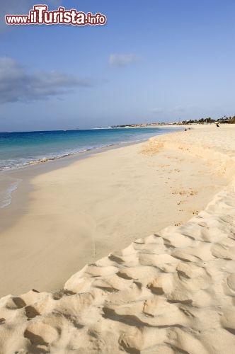 Immagine Isola di Sal, Capo Verde: le coste meridionali dell'isola sono bordate da lunghi tratti di sabbie chiare - © AQUAZOOM / Shutterstock.com