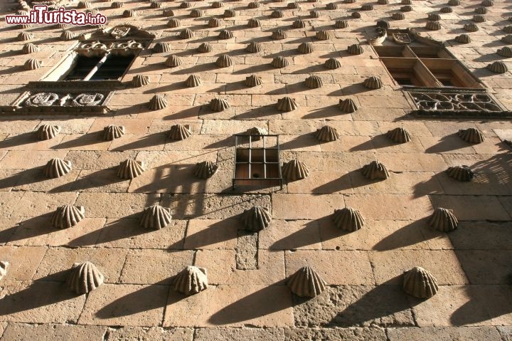 Immagine Salamanca la Casa de las Conchas - Copyright foto www.spain.info