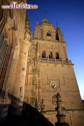 Immagine Salamanca la Catedral Vieja - Copyright foto www.spain.info