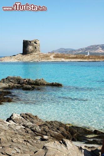 Immagine Sardegna: la Torre della Pelosa ed il mare cristallino di Stintino  - © ricardomiguel.pt / Shutterstock.com