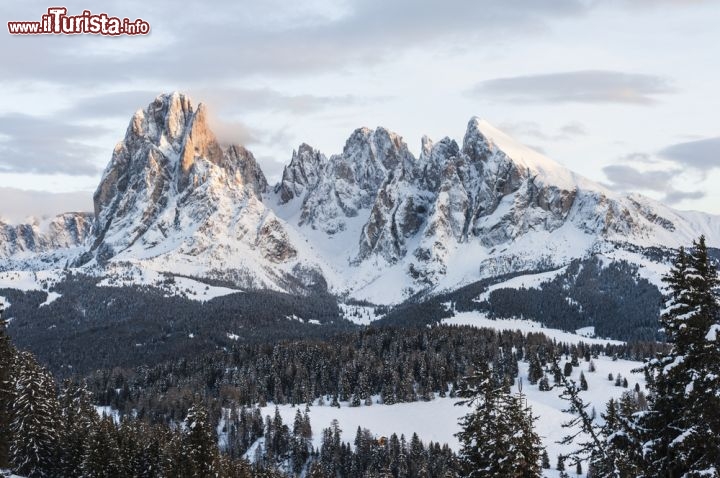 Immagine Sasslong e Alpe di Siusi in Val Gardena, una delle mete dello sci in Alto Adige - © S.Micheli / Shutterstock.com