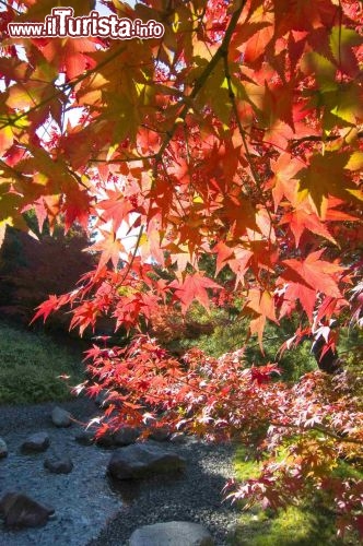 Immagine Sentiero autunnale Giardini Sissi Merano - cortesia foto www.trauttmansdorff.it