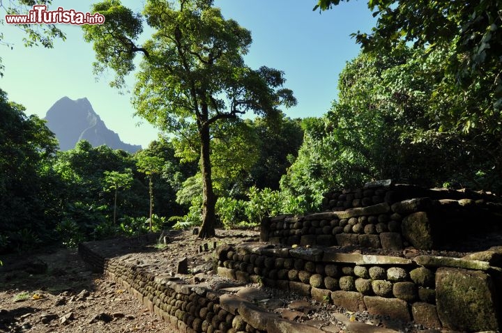 Immagine Sito archeologico di Opunohu, dove troviamo alcuni marae nella foresta di Moorea (Polinesia)