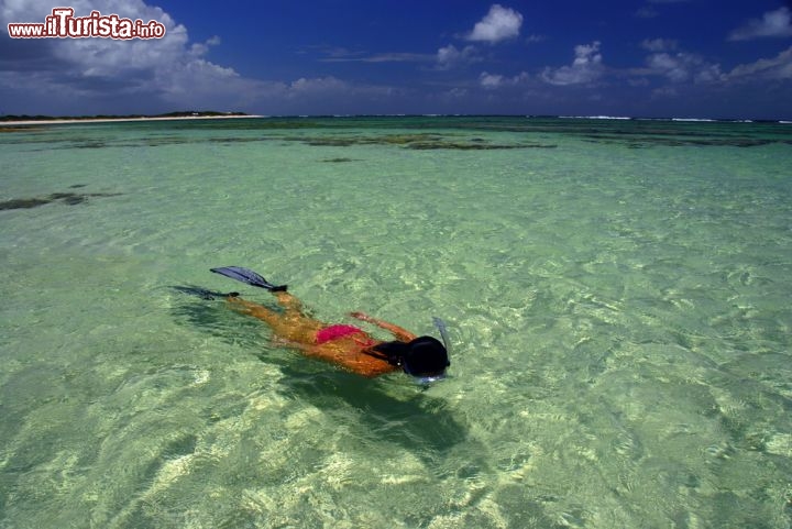 Immagine Snorkeling nella laguna di Anegada, il mare cristallino delle Isole Vergini Britanniche - © tubuceo / Shutterstock.com