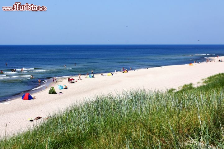 Immagine Una spiagga sul mar Baltico in Lituania: ci troviamo nei dintorni di Nida, località famosa anche per le sue grandi dune di sabbia - © Irena Misevic / Shutterstock.com