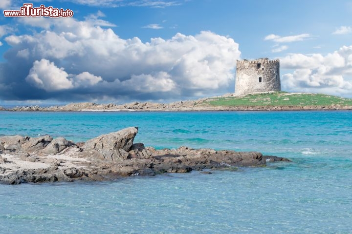 Immagine Spiaggia della Pelosa, dettaglio della torre e del mare turchese di Stintino  - © Al_Kan / Shutterstock.com