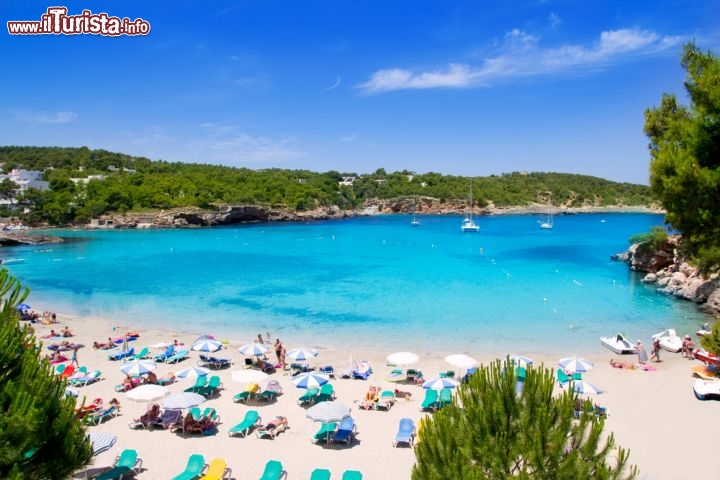 Immagine La piccola ma spettacolare spiaggia di Portinatx: siamo nel Mar Mediterraneo occidentale, e più precisamente sull'isola di Ibiza nell'arcipelago delle Baleari, uno dei più celebri della Spagna - © holbox / Shutterstock.com