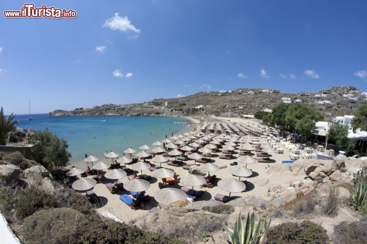 Immagine La spiaggia di Super Paradise a Mykonos, isole Cicladi (Grecia) - © Lagui / Shutterstock.com