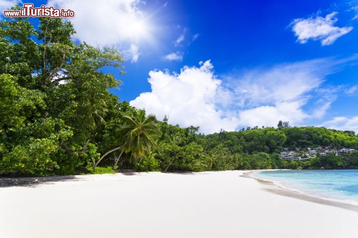 Immagine Spiaggia bianca a  Baie Lazare, nell'arcipelago delle Seychelles, sull'Isola di Mahe  - © Chaikovskiy Igor / Shutterstock.com