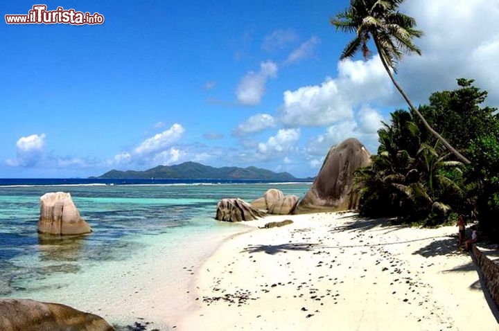 Immagine Una spettacolare spiaggia della Malesia: mare cristallino, palme e sabbia bianca.