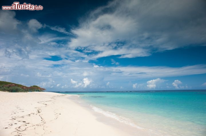 Immagine Spiaggia deserta sull'isola di Anegada, una delle mete più ambite delle Isole Vergini Britanniche, ai Caraibi - © Stefan Radtke / Shutterstock.com