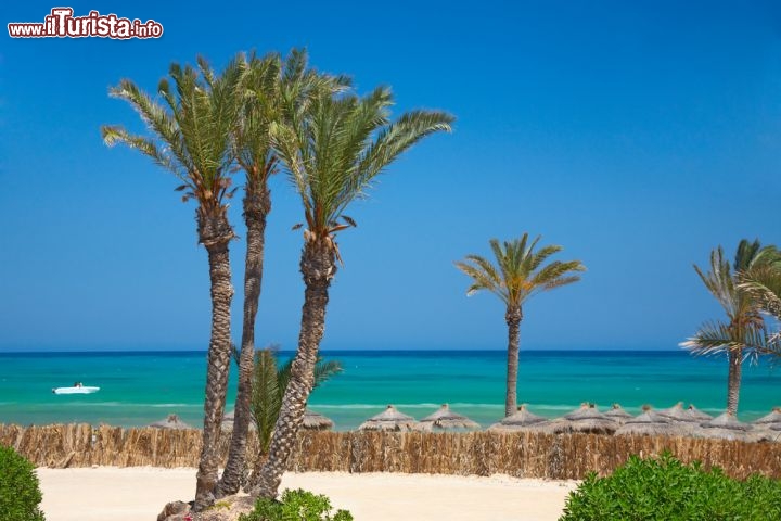 Immagine Spiaggia attrezzata sull'isola di Gerba (Djerba) una delle località turistiche più importanti della Tunisia. Djerba rimane a sud della nazione nord-africana, non distante dal confine con la Libia. E' un isola piuttosto piatta e le sue coste presentano ampie spiagge, che in estate vengono prese d'assalto dai turisti (tra cui tantissimi tedeschi), che però trovano ampio spazio a disposizione anche nelle ore di punta- © Nataliya Hora / Shutterstock.com