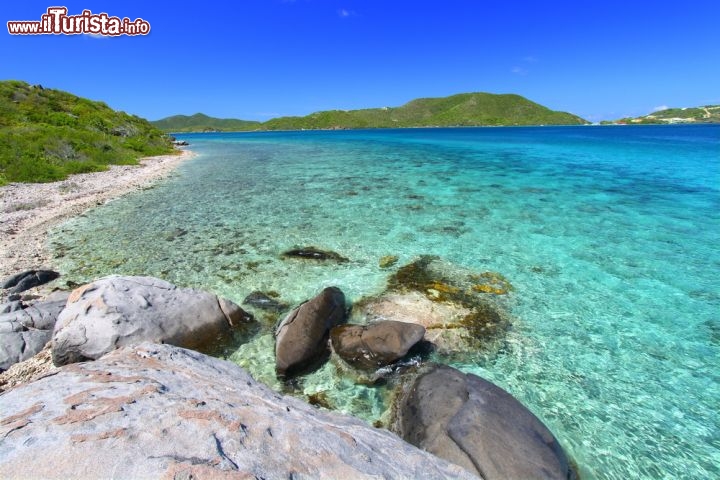 Immagine Magnifica spiaggia tropicale a Tortola: il mare limpido dei Caraibi diventa leggenda alle Isole Vergini Britanniche (BVI) - © Jason Patrick Ross / Shutterstock.com