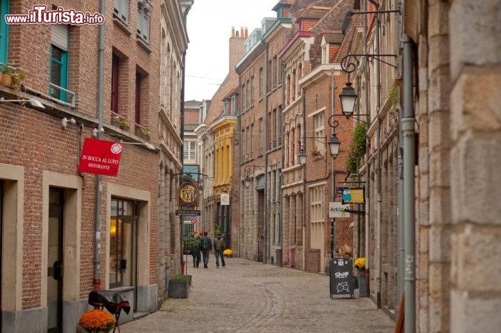 Immagine Strada con ciottoli nel centro storico di Lille, Francia. Uno dei caratteristici vicoli con pavimentazione ciottolata in cui si può passeggiare nel cuore della città - © Perig / Shutterstock.com