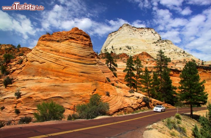 Immagine La Zion Canyon Scenic Drive è una spettacolare strada panoramica all'interno del Zion National Park dello Utah, USA.  Guidare tra i canyon, le montagne e gli avvallamenti della riserva naturale è un'emozione irripetibile, che dà un grande senso di libertà... ma attenzione a non distrarsi! La strada, in certi punti, corre lungo strapiombi vertiginosi. Fotografie spettacolari assicurate - © SNEHIT / Shutterstock.com