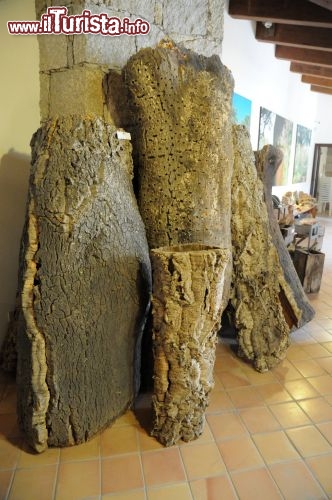 Immagine Il sughero nelle sue varie fasi di lavorazione. Per conoscere storia e caratteristiche di quello che in sardo viene chiamato “suara” si può visitare la sezione del museo dedicata a questo materiale mediterraneo di origini antichissime.