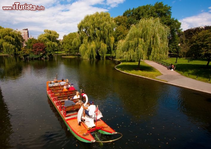 Immagine Le Swan Boats di Boston (Massachusetts) sono imbarcazioni da diporto usate nel laghetto del giardino pubblico cittadino sin dal 1877. Funzionano da metà aprile alla fine di settembre - © Marcio Jose Bastos Silva / Shutterstock.com