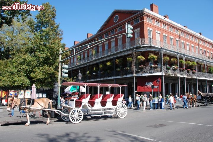 Immagine Tour in carrozza per le vie di New Orleans - La Big Easy è anche una delle città più romantiche degli Stati Uniti. L'antico fascino di questo luogo, accompagnato dal ritmo lento della musica jazz e dai sapori della cucina più autentica, è lo scenario ideale per effettuare un giro in carrozza, qui principale mezzo di trasporto per molti decenni - © pisaphotography / Shutterstock.com

120169459