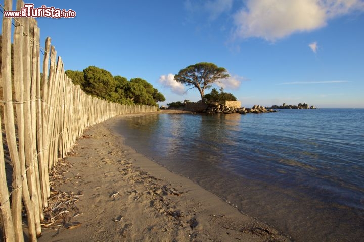 Immagine Tramonto sulla Palombaggia, la grande spiaggia di Porto Vecchio in Corsica - © David PETIT / Shutterstock.com