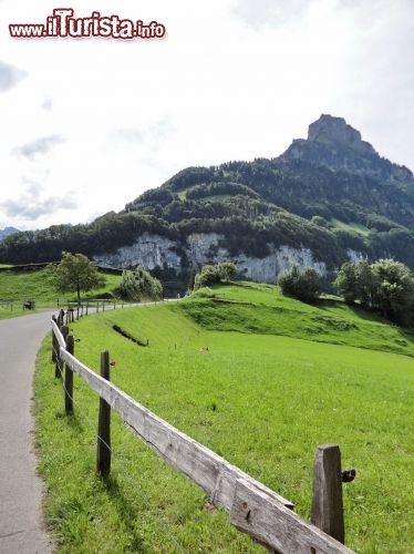 Immagine Trekking Alpi Svizzere vicino Lago Quattro Cantoni, zona di Bauen