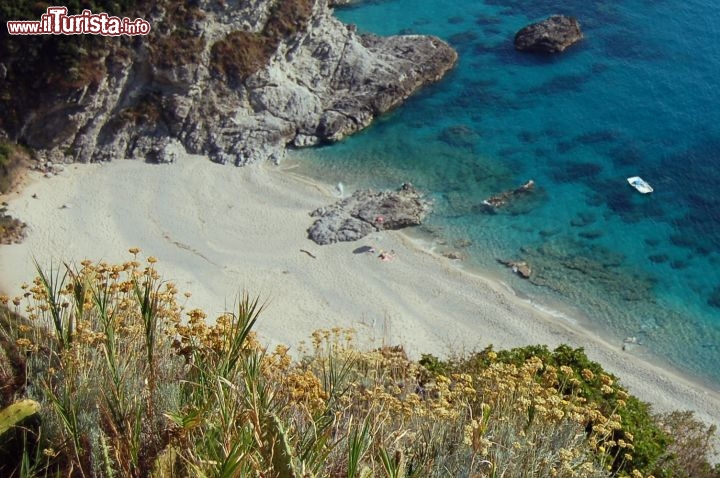 Immagine Tropea,  Capo Vaticano: macchia mediterranea a precipizio sulla spiaggia