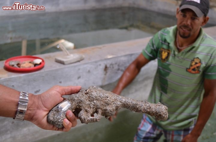 Immagine Una pistola recuperata dai fondali di Montecristi - Repubblica Dominicana - al Museo Archeologico della città