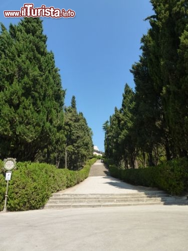 Immagine Viale dei Bersaglieri a Castelfidardo