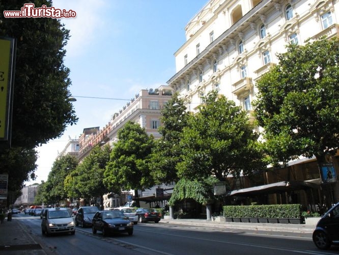 Immagine Il centro di Roma è anche verde. Tra monumenti, palazzi eleganti e preziose testimonianze del passato, non mancano i viali alberati che offrono un po' d'ombra ristoratrice nelle giornate torride dell'estate romana.