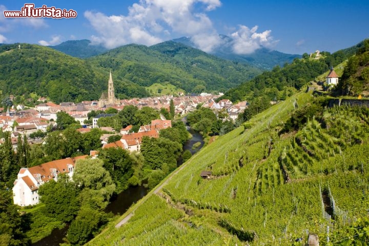 Immagine Vigneti Grand Cru a Thann, Alsazia (Francia) - © PHB.cz - Fotolia.com