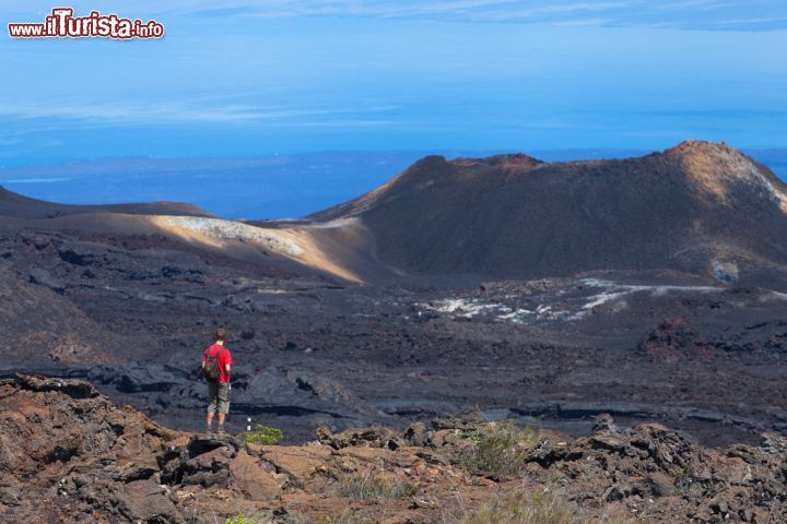 Immagine Le visite guidate al vulcano Sierra Negra partono in genere da Puerto Villamil e attraversano il bordo della caldera lungo il lato est prima di dirigersi verso i campi di lava fresca a nord est del cratere principale. Conosciuto anche come "Black Mountain", il Sierra Negra è un grande vulcano situato all'estremità sud orientale dell'isola Isabela, alle Galapagos, che raggiunge quota 1124 metri. Si tratta di uno dei vulcani più attivi di questo arcipelago di 13 isole situate nell'Oceano Pacifico, a mille chilometri dalla costa dell'America del Sud. E' anche il secondo cratere più grande al mondo - © sunsinger / Shutterstock.com