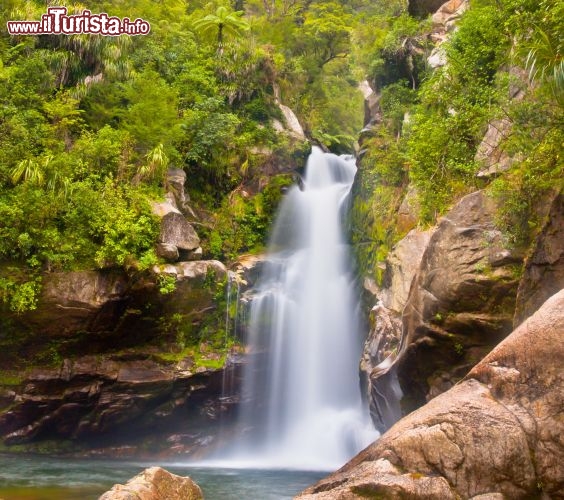 Immagine Wanui Falls, le splendide cascate dell'Abel Tasman National Park in Nuova Zelanda - © CreativeNature.nl / Shutterstock.com