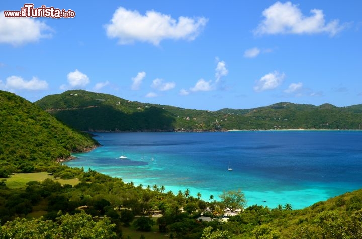 Immagine White Bay, Guana Island – Una delle baie più famose di tutte le Isole Vergini Britanniche. Guana Island è una piccola isola privata, oggi anche resort, che si affaccia sulla parte nord di Tortola. - © Guendalina Buzzanca / thegtraveller.com