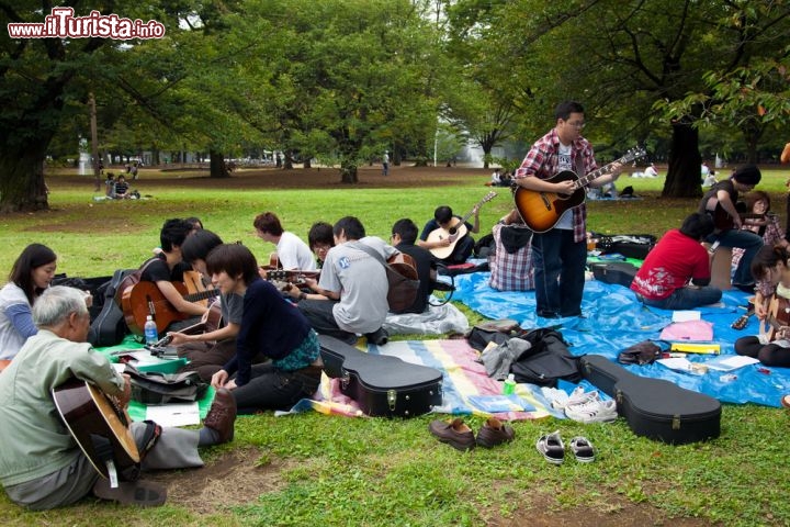Immagine Yoyogi Park a Tokyo, una delle aree verdi più amate della capitale giapponese - © cdrin / Shutterstock.com