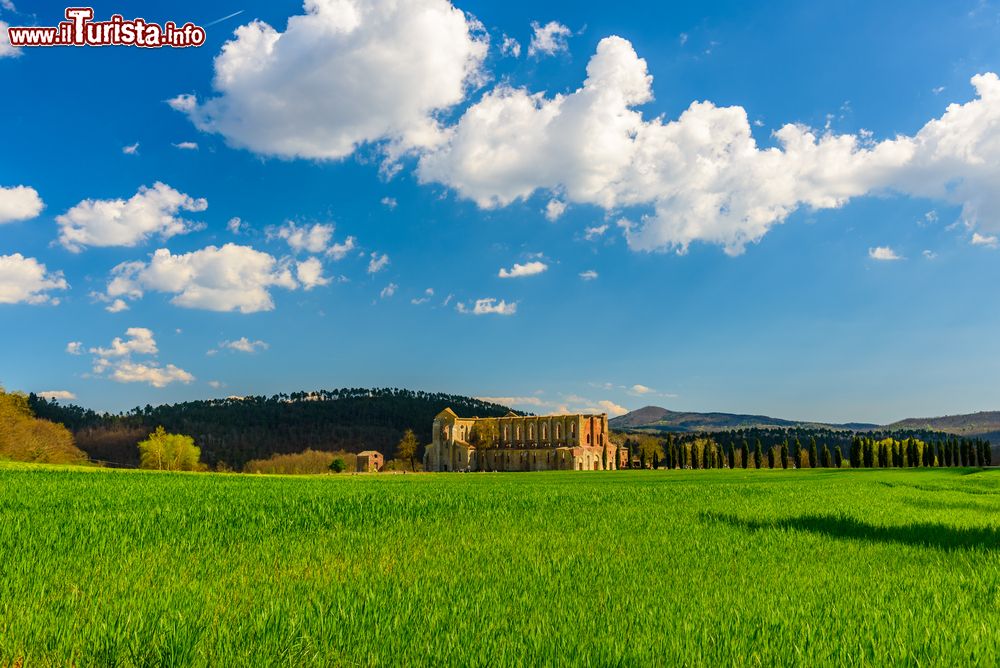 Immagine L'Abbazia di San Galgano ua della attrazioni di Chiusdino in Toscana