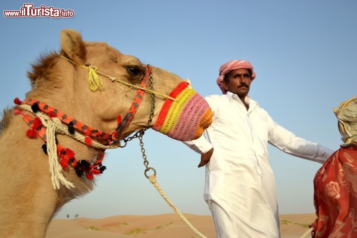 Immagine Deserto di Abu Dhabi: ad una sola ora di auto a sud della capitale degli Emirati Arabi Uniti, presso l'Arabian Nights Village, si può provare l'esperienza di una passeggiata nel deserto con i cammelli al tramonto.