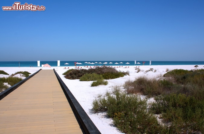 Immagine Abu Dhabi, Saadiyat Beach: su Saadiyat Island si trovano le spiagge più belle di Abu Dhabi; la sabbia bianca e l'acqua cristallina del Golfo Persico sono la cornice ideale per una giornata al mare nel caldissimo clima degli Emirati Arabi Uniti - Foto © TCA Abu Dhabi.