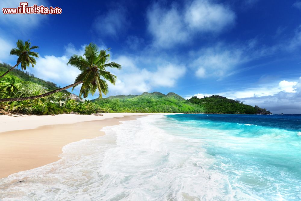 Immagine Acqua cristallina su una spiaggia di Mahé, Seychelles. L'isola si trova al largo dell'Africa Orientale, nell'Oceano Indiano.