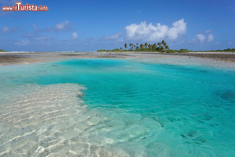 Immagine Acqua trasparente di un canale poco profondo nell'atollo di Tikehau, Tuamotu, Polinesia Francese. In lingua locale si chiama "hoa" e si trova fra l'oceano e la laguna.