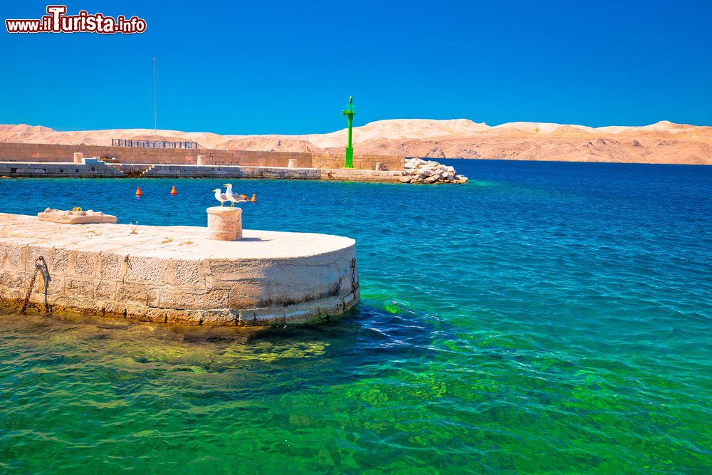 Immagine L'acqua turchese del canale del Velebit di fronte a Karlobag e, sullo sfondo, l'isola desertica di Pag, Croazia.