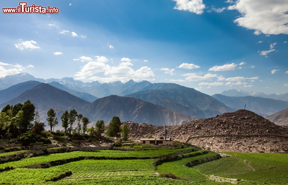 Immagine Agricoltura rurale nella valle di Spiti, Himachal Pradesh, India.